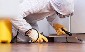 Best Termite Inspection and Treatment  in Burlington, WI